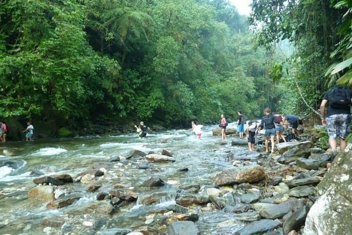Lost City Trek: 4-Day Tayrona Jungle Hike from Santa Marta photo 2