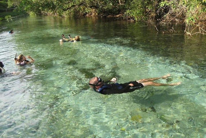 6-Day Pantanal and Bonito Wildlife Expedition: Pantanal Lodge, Boat Safaris & Bonito Highlights
