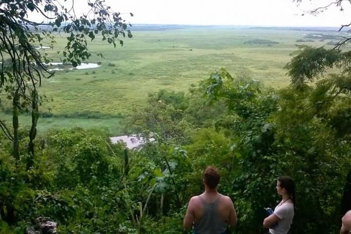 6-Day Pantanal and Bonito Wildlife Expedition: Pantanal Lodge, Boat Safaris & Bonito Highlights photo 2