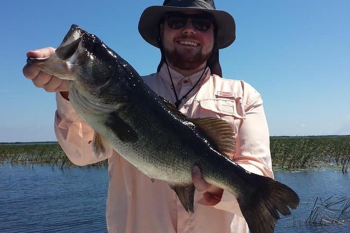 Lake Okeechobee All-Day Bass Fishing Charter from West Palm Beach photo 3
