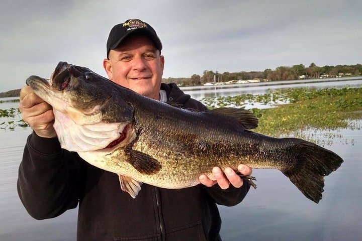All-Day Lake Okeechobee Bass Fishing Trip from Fort Pierce