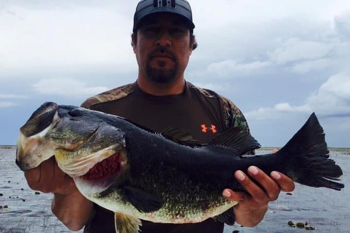 All-Day St. Johns River Bass Fishing Trip from Daytona Beach photo 2