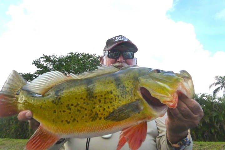 Urban Peacock Bass Fishing at Miami Airport Lakes — Guided 4‑Hour Charter photo 4