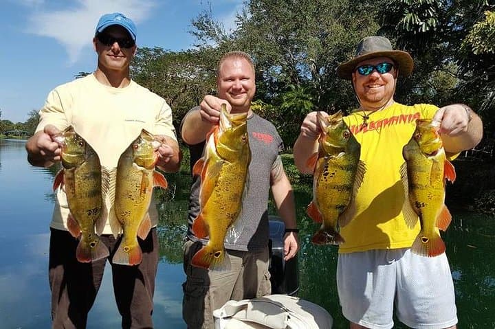 Urban Peacock Bass Fishing at Miami Airport Lakes — Guided 4‑Hour Charter photo 3