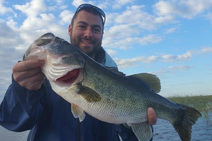 Lake Okeechobee Bass Charters: Half- to Full-Day Fishing Trips Near Fort Pierce, FL photo 3