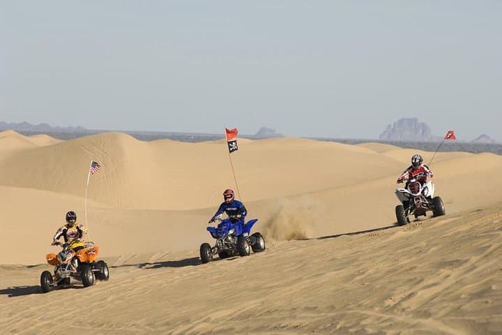 Abu Dhabi Quad Bike Desert Safari: Dune Bashing, Camel Farm & Bedouin Camp