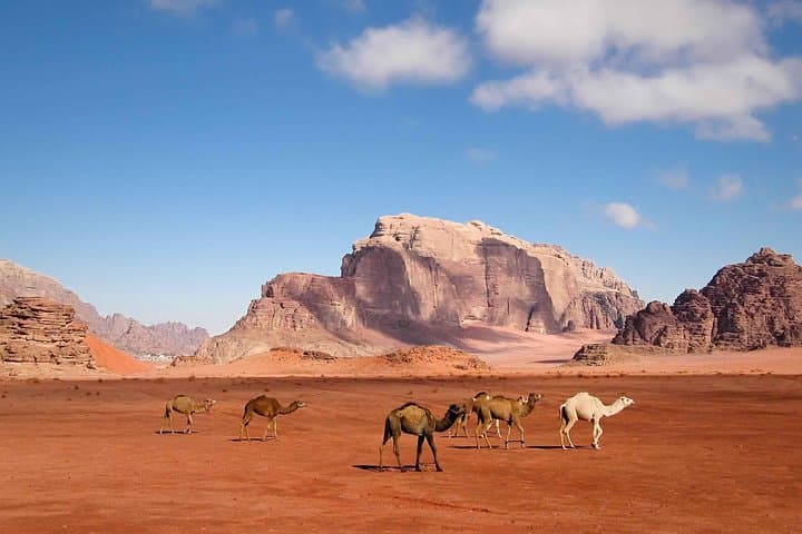 Best of Jordan: Amman, Petra & Dead Sea Tour with Wadi Rum Camping photo 5