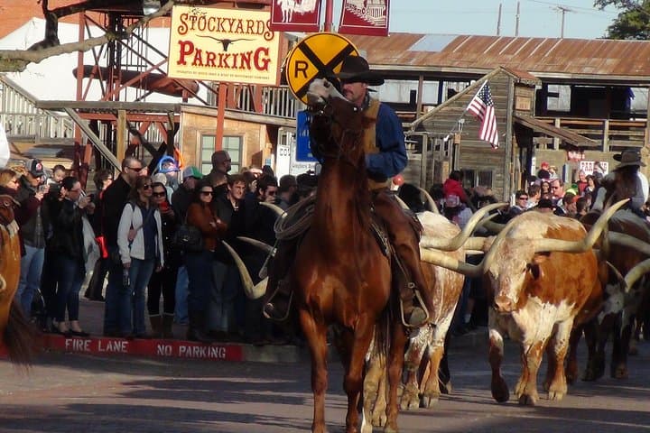 Dallas and Fort Worth Small-Group City Sightseeing Tour — 7-Hour Highlights photo 2