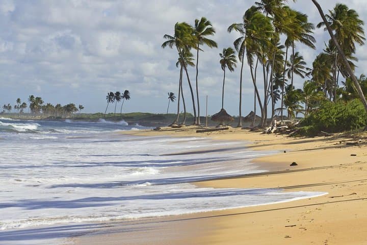 Beach Horseback Riding in Punta Cana: Uvero Alto Ranch Adventure photo 6