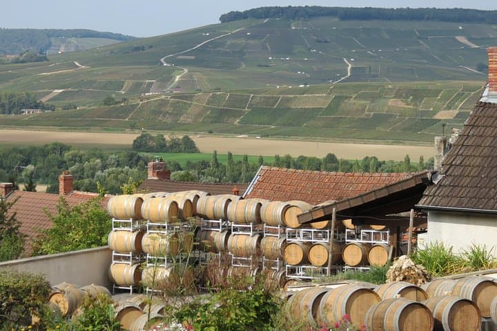 Champagne day trip from Paris: private tastings, Reims cathedral & Hautvillers photo 1