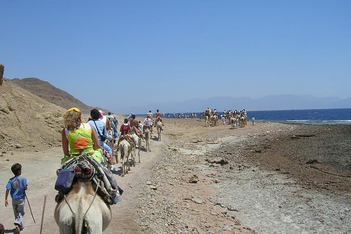 Blue Hole & Ras Abu Gallum Snorkel Safari from Dahab — Jeep, Camel & Boat Day Trip photo 3