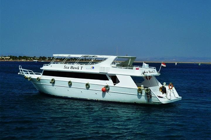 Private Boat Hire and Snorkel Trips from Sharm El Sheikh photo 3
