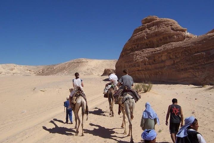 White Canyon Camel Safari from Dahab: Explore Sinai's Limestone Gorge and Ain Khudra Oasis photo 2
