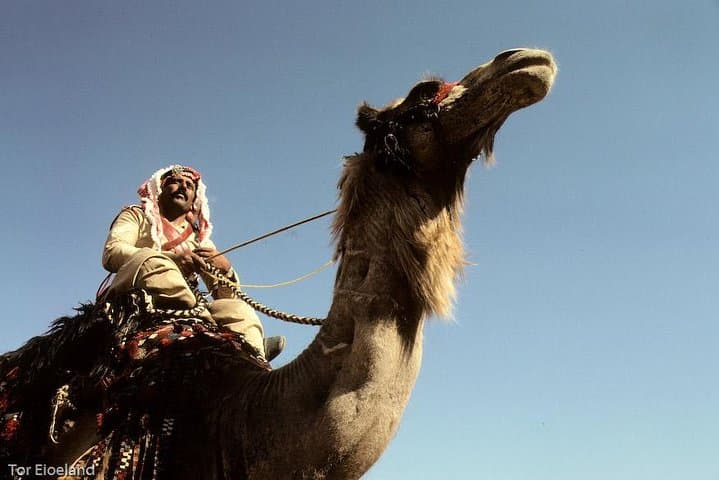 Two Days Camel Safari from Dahab — White Canyon, Ain Khudra & Desert Camping photo 2