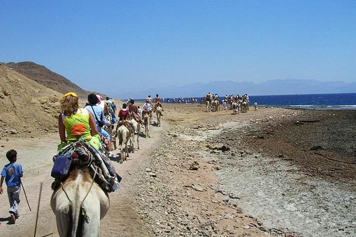 Blue Hole & Ras Abu Galum: Camel Safari and Red Sea Snorkel from Taba photo 4