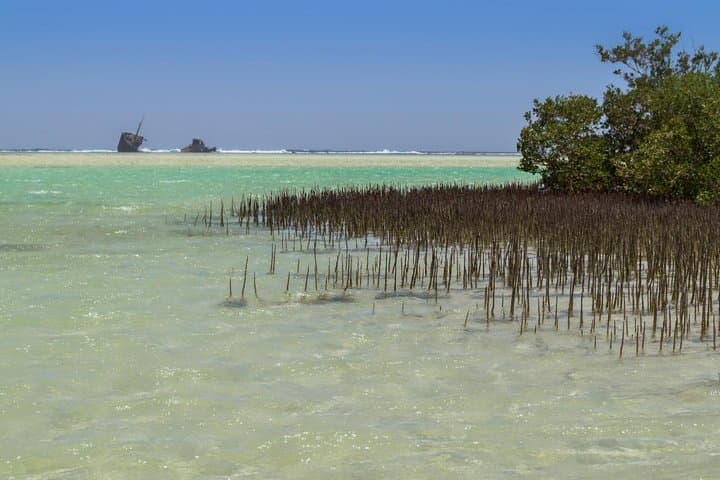 Explore Nabq National Park: Mangroves, Reefs and Desert Walks from Dahab photo 2