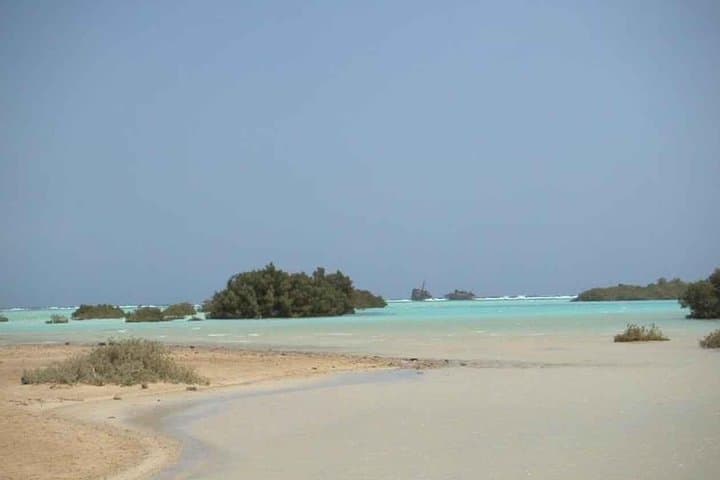 Explore Nabq National Park: Mangroves, Reefs and Desert Walks from Dahab photo 3