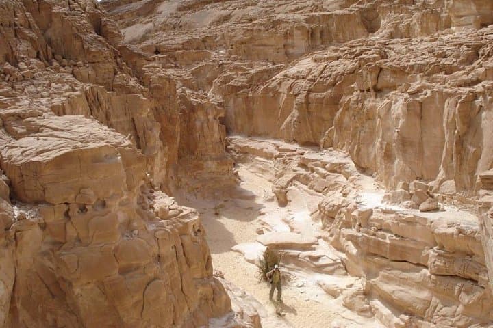 St. Catherine Monastery, White Canyon & Ain Khudra Oasis Jeep Safari from Dahab photo 2