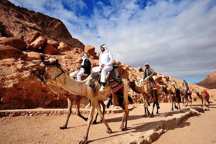 Sinai Camel Safari: 3-Day Dahab Desert & Oasis Trek