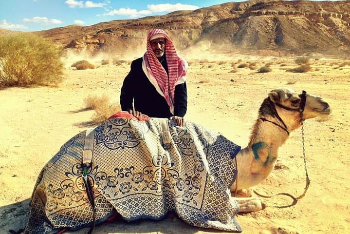 Sinai Camel Safari: 3-Day Dahab Desert & Oasis Trek photo 2