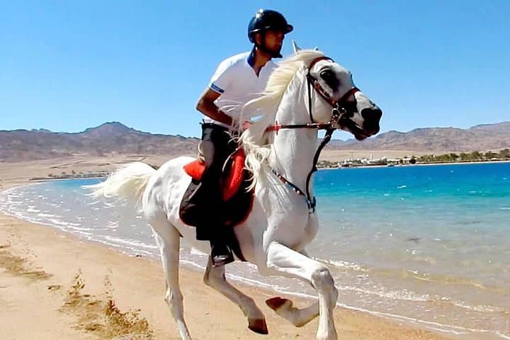Horse Riding in Dahab: Blue Lagoon, Desert & Beach Tours photo 6