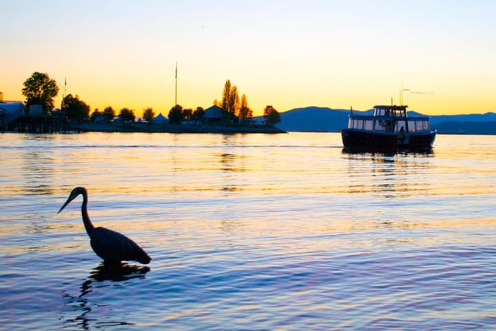 False Creek Ferry Day Pass — Hop-on Hop-off to Granville Island, Yaletown & Kitsilano photo 3
