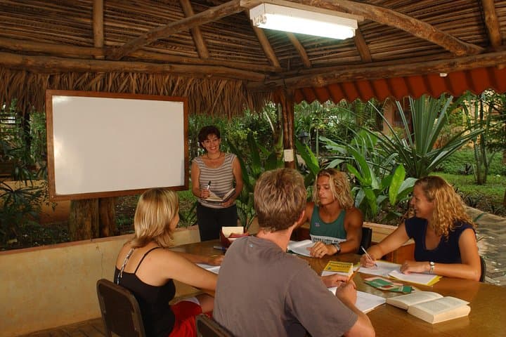 Spanish Immersion at Tamarindo Beach: 1- or 2-Week Intensive Program
