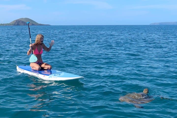 Beginner Paddleboarding in Turtle Town — Private SUP Lesson at Makena Landing, Maui photo 2