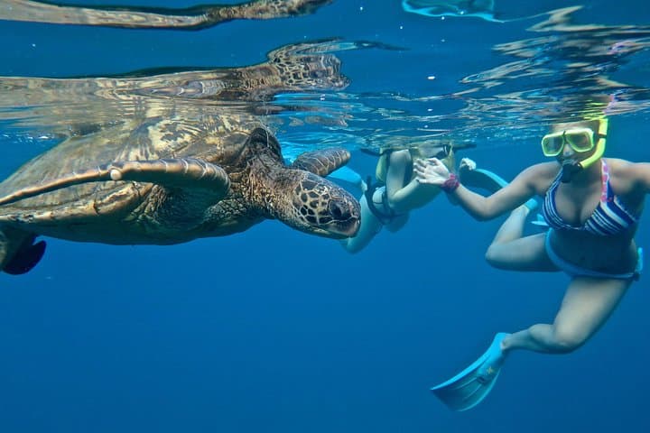 Makena Turtle Town: Private Beginner SUP & Snorkel Lesson in Wailea