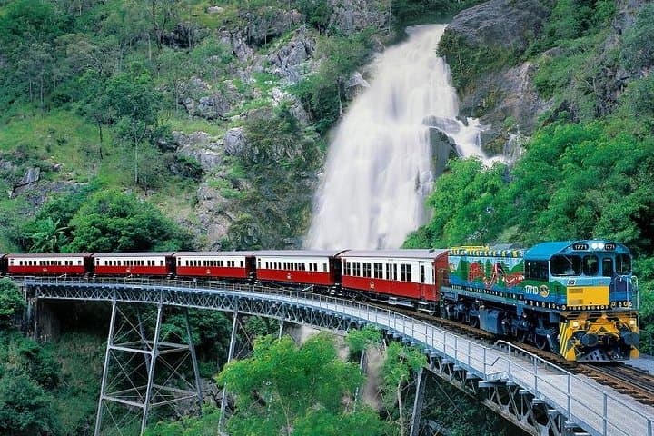 Skyrail to Kuranda: Rainforest Cableway and Scenic Railway Day Trip from Port Douglas photo 2