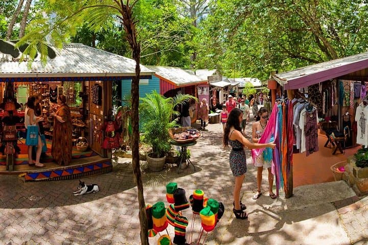 Port Douglas Day Trip: Kuranda Village or Palm Cove Small-Group Tour