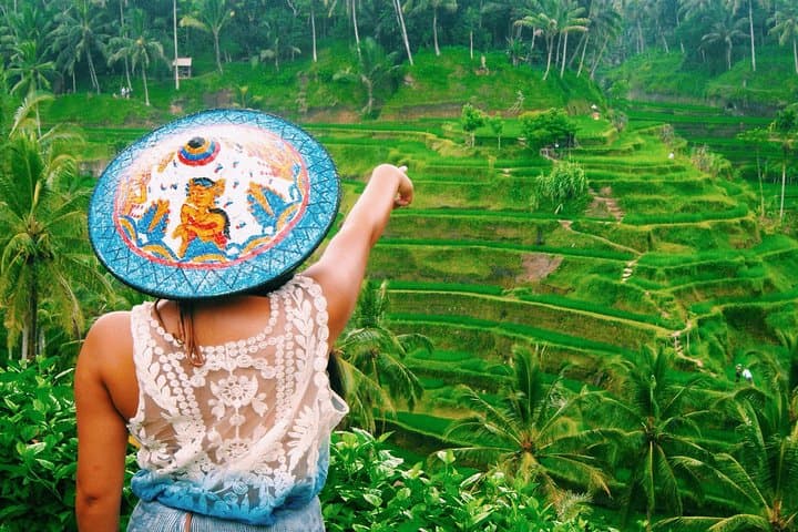 Ubud Private All-Inclusive Tour: Rice Terraces, Monkey Forest & Art Market