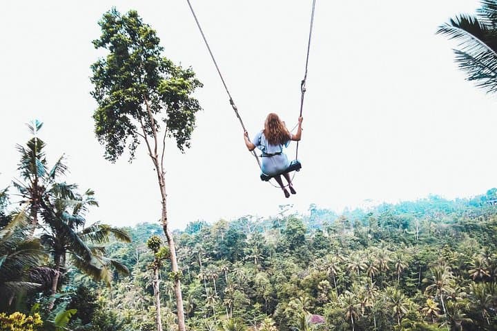 Best of Ubud Full-Day Tour: Monkey Forest, Tegalalang & Jungle Swing photo 1