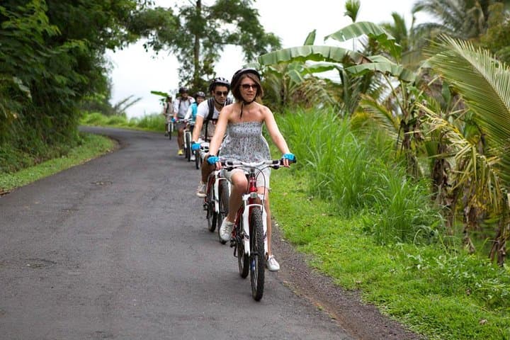 Downhill Cycling from Kintamani to Ubud: Rice Fields & Village Half-Day Tour photo 4