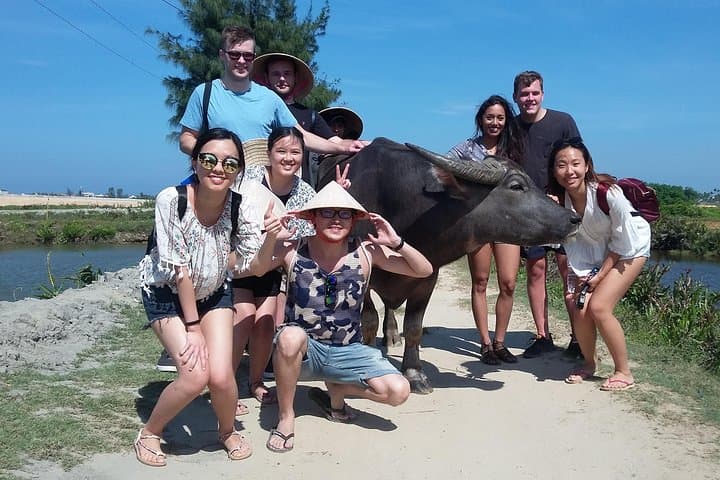 Cam Thanh Buffalo Riding & Basket Boat Half-Day Adventure from Hoi An