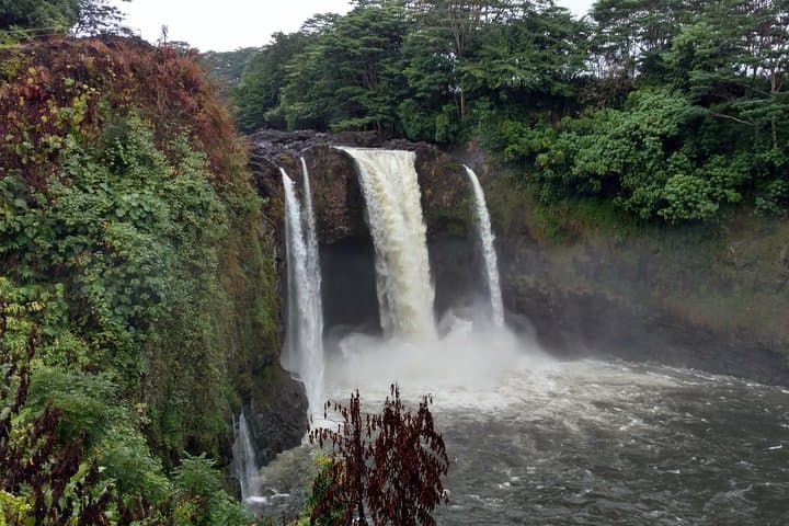 Explore Hawaii’s Big Island: A 5-Hour Custom Private Tour from Hilo