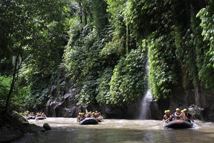 Full-Day Ayung River White Water Rafting and Ubud Tour — Raft the Ayung, Visit Monkey Forest & Waterfalls photo 4