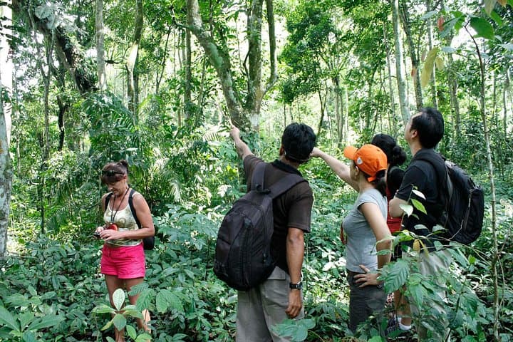Taro Ubud Tropical Trekking: Highland Trails, Villages & Gourmet Lunch photo 2