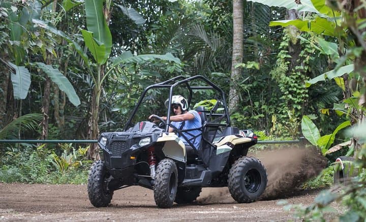 Bali Ayung River White-Water Rafting and Jungle Buggy Adventure