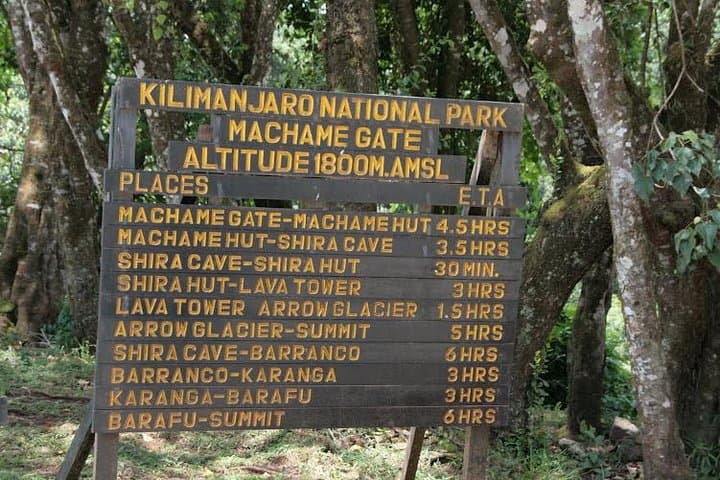 7-Day Machame Route Kilimanjaro: Whisky Route Trek to Uhuru Peak photo 2