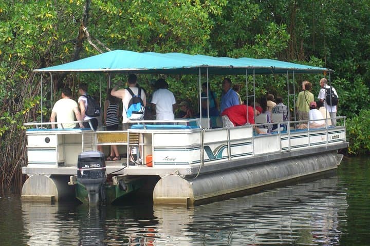 YS Falls and Black River Safari: Private Day Trip from Negril