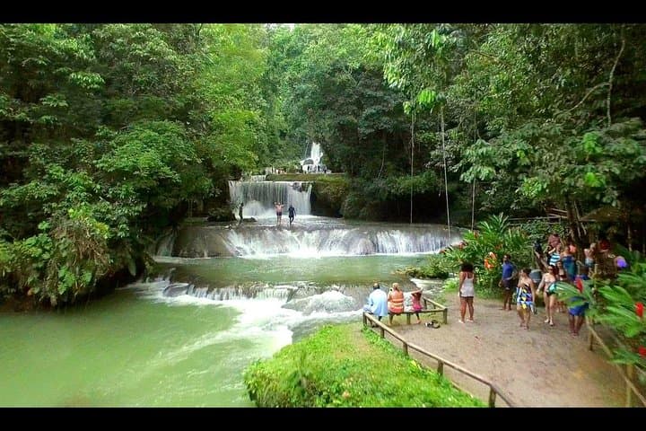 Private YS Falls and Black River Safari: South Coast Jamaica Full-Day Tour photo 5