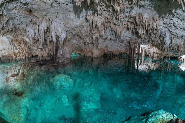 Akumal Turtle & Cenote Private Tour — Swim with Sea Turtles and Explore a Cenote photo 2