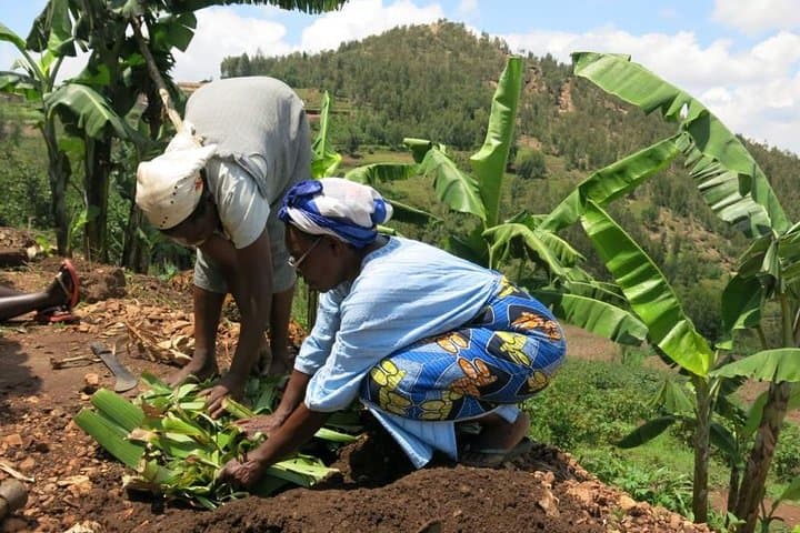 Make Traditional Rwandan Banana Juice (Urwagwa) With a Local Community photo 2