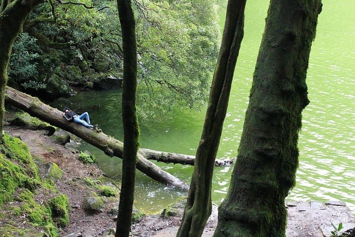 Wild Lakes 4x4 Tour in São Miguel: Jeep Safari and Congro Walking Tour photo 1