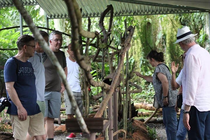 Up Close with Leafcutter Ants: Ants Tour in Hormigas Town, Sarapiquí