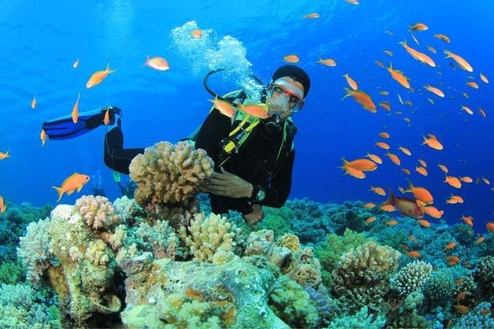 Beginner Scuba Diving Experience in Puerto Rico, Gran Canaria — Guided Reef Dive
