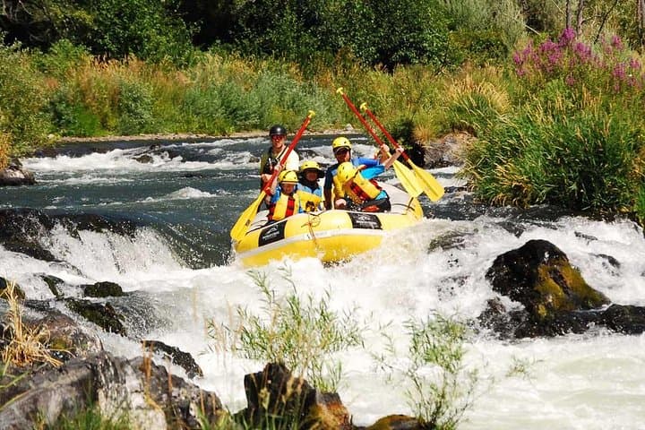 Rogue River Rafting Near Ashland: The Family-Friendly Rogue Valley Rapid Run