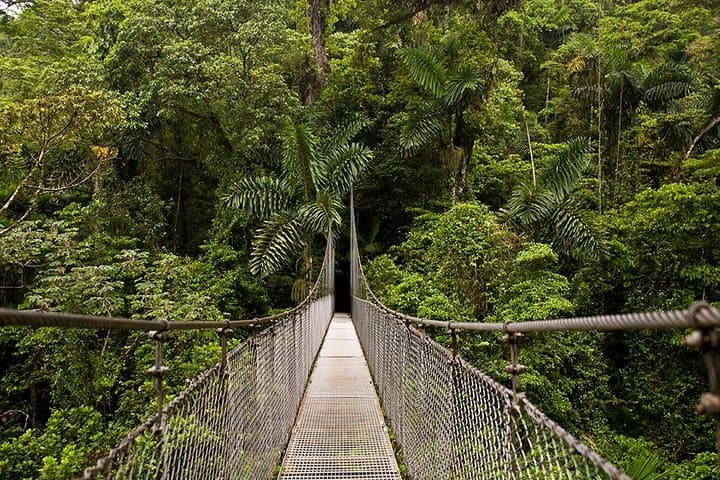 Arenal Volcano Combo: Hanging Bridges, La Fortuna Waterfall & Volcano Hike photo 4