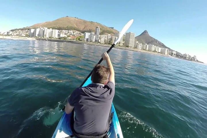 Sea Kayak and Cape Point Private Tour from Cape Town — Penguins, Lighthouse & Chapmans Peak photo 2